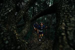 BIB: 
                            <button type="button" onclick="openModal(25690030)" class="btn btn-primary btn-sm float-right btn-popup" data-toggle="modal" data-target=".modal-high-quality">
                        <i class="fas fa-shopping-cart"></i> Add to Cart
                    </button>
                                            <button type="button" onclick="isThisMe(25690030, true)" class="btn btn-success btn-sm float-right btn-popup btn-isme hidden" data-toggle="tooltip" data-placement="bottom" title="นี่คือรูปของคุณใช่ไหม คลิกที่นี่เพื่อเอาเข้าอัลบั้ม">
                        <i class="fas fa-plus"></i> Add to album
                    </button>
                    <button type="button" onclick="isThisMe(25690030, false)" class="btn btn-warning btn-sm float-right btn-popup btn-isnotme hidden">
                        <i class="fas fa-ban"></i> Remove from album
                    </button>